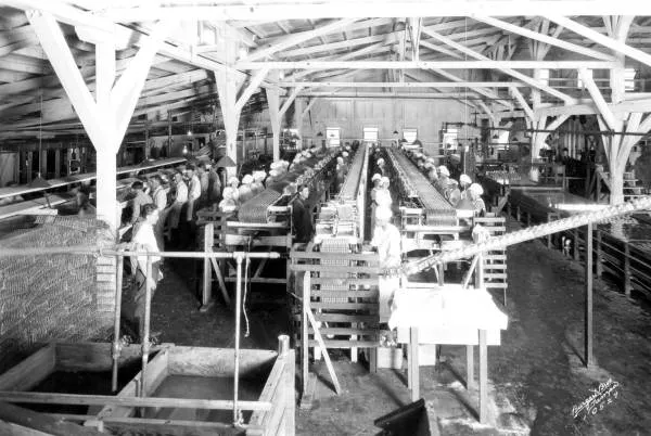 Citrus packing house, Avon Park, Florida, 1924