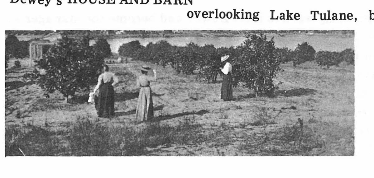 The First Hundred Years of Avon Park, Florida, page 32, figure 2