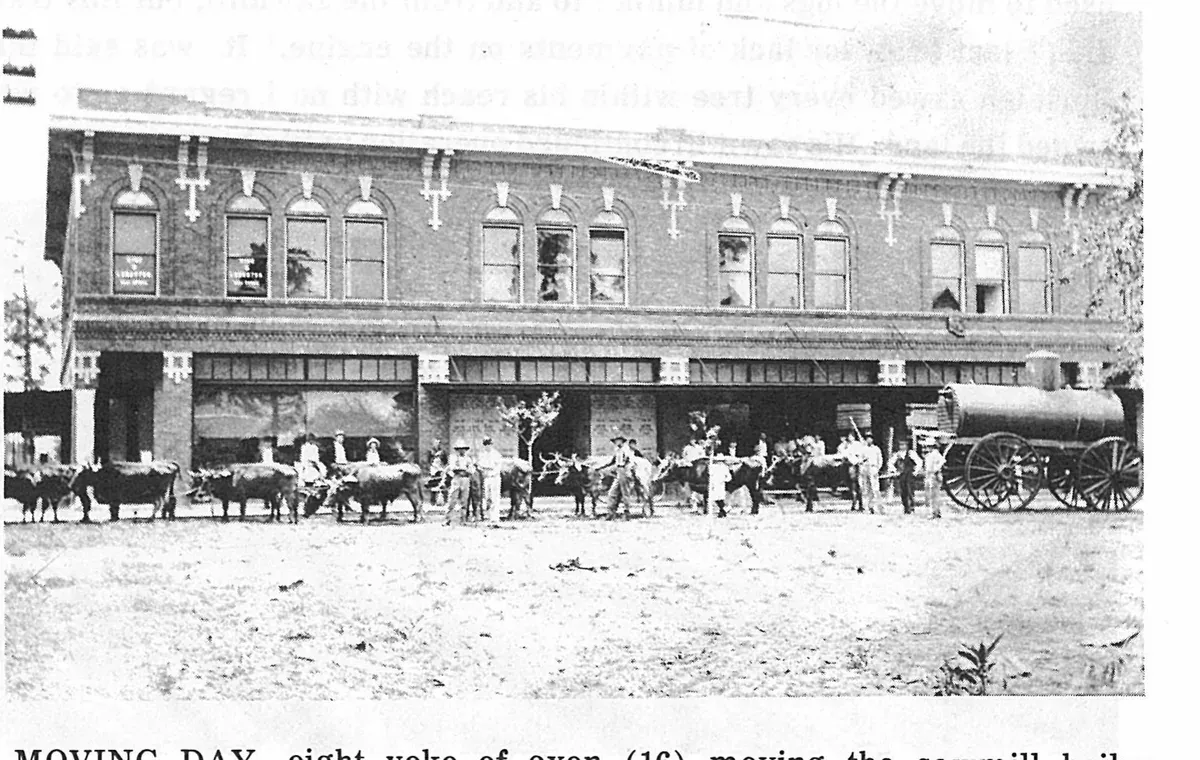 MOVING DAY, eight yoke of oxen (16) moving the sawmill boiler down Main Street by The First National Bank