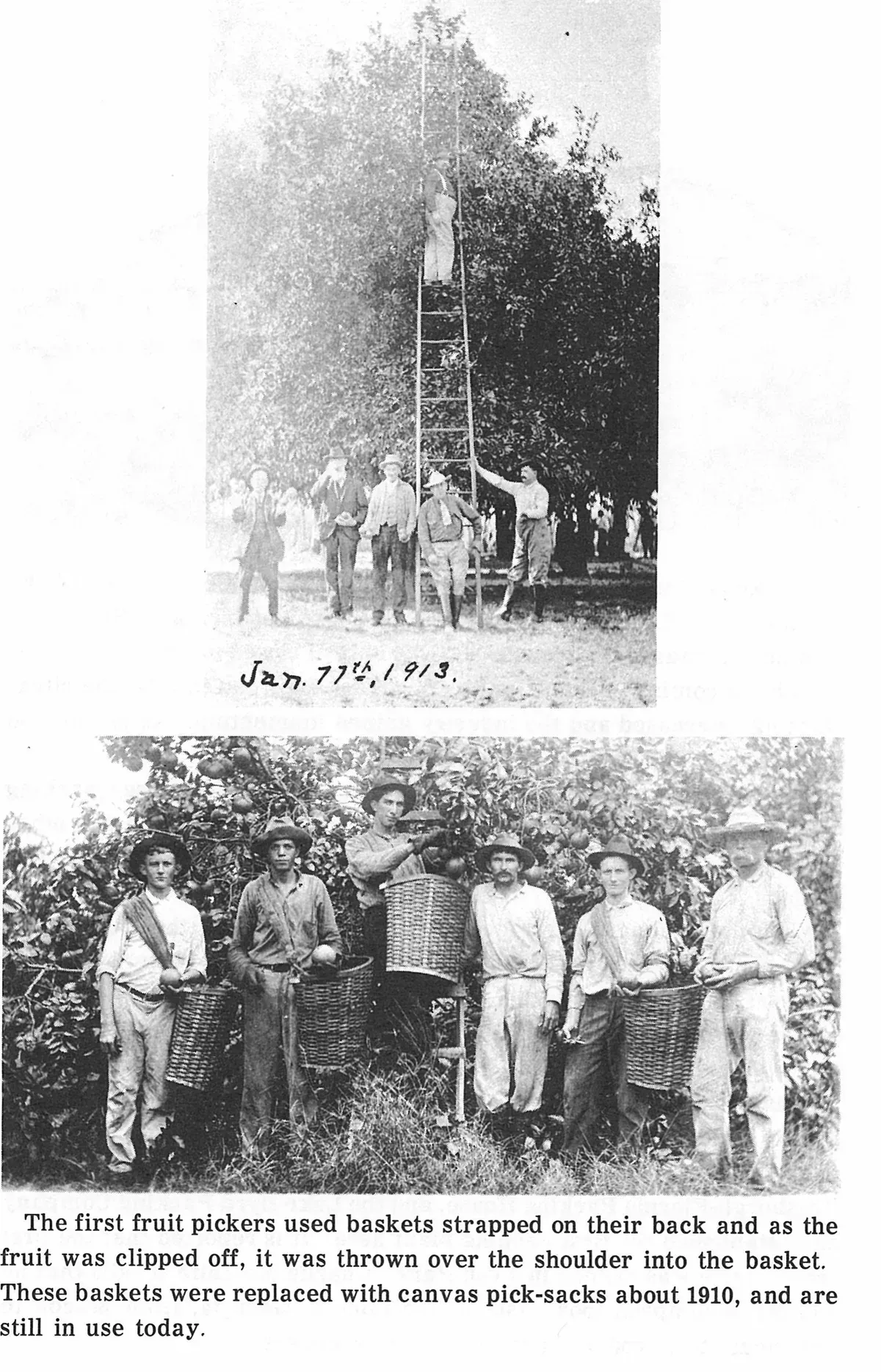 Jan. 17th, 1913