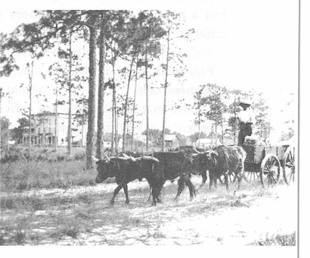 The First Hundred Years of Avon Park, Florida, page 169, figure 2