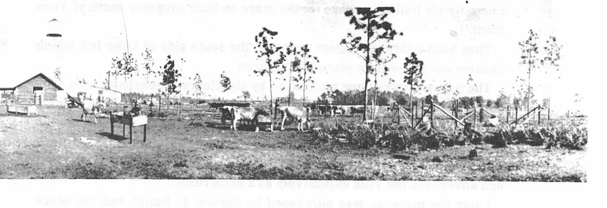 The First Hundred Years of Avon Park, Florida, page 238, figure 2