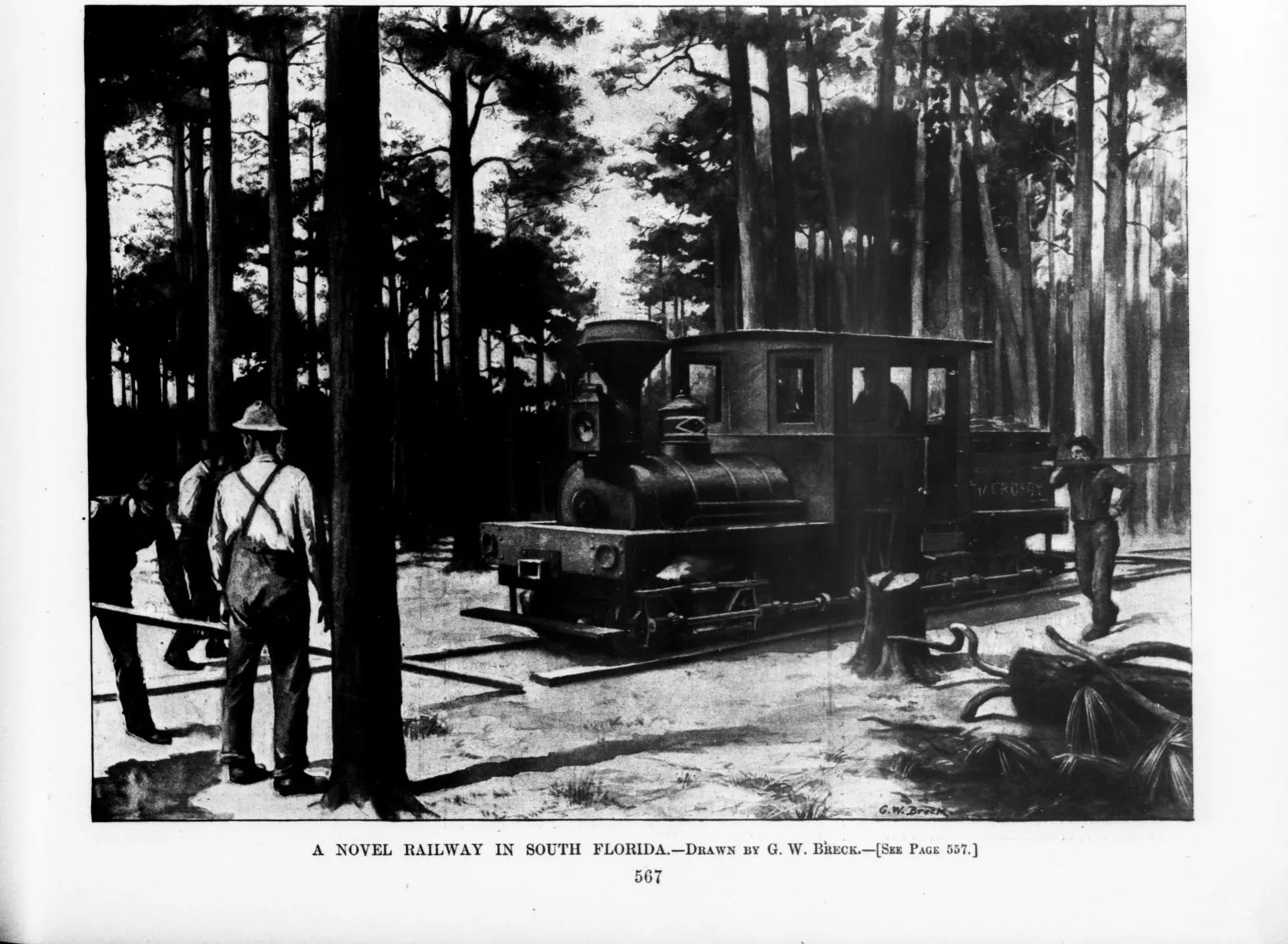 A Novel Railway in South Florida