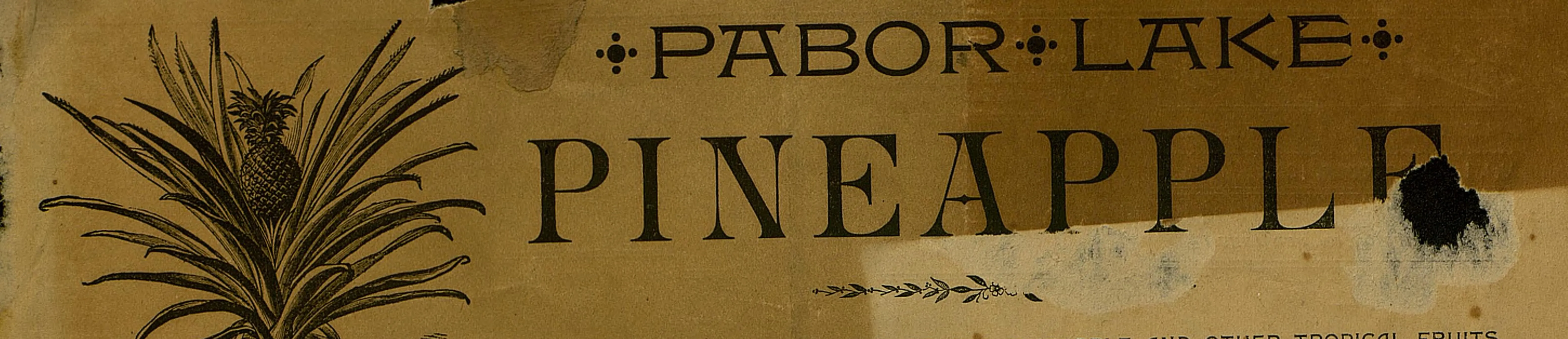 Masthead of the Pabor Lake Pineapple, October 1892